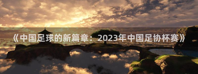 《中国足球的新篇章：2023年中国足协杯赛》