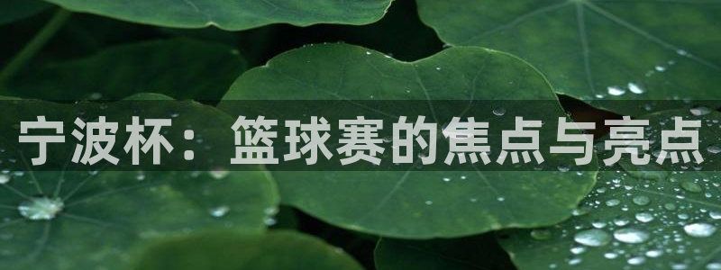  宁波杯：篮球赛的焦点与亮点