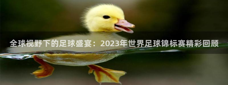 全球视野下的足球盛宴：2023年世界