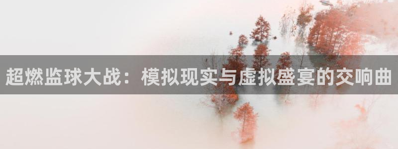 超燃监球大战：模拟现实与虚拟盛宴的交
