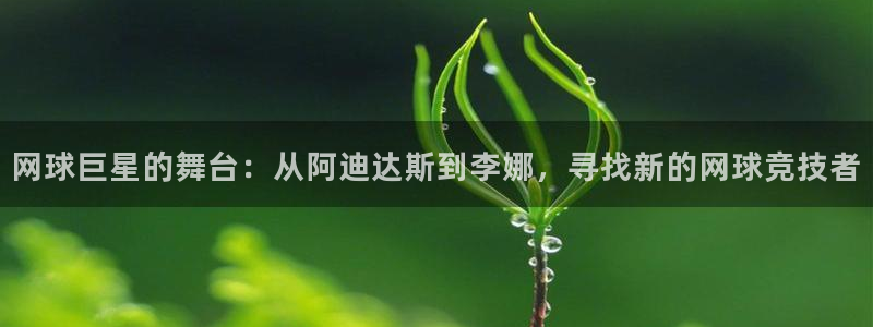 网球巨星的舞台：从阿迪达斯到李娜，寻