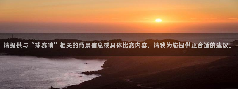 请提供与“球赛哨”相关的背景信息或具
