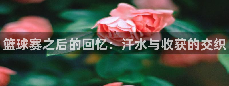 篮球赛之后的回忆：汗水与收获的交织