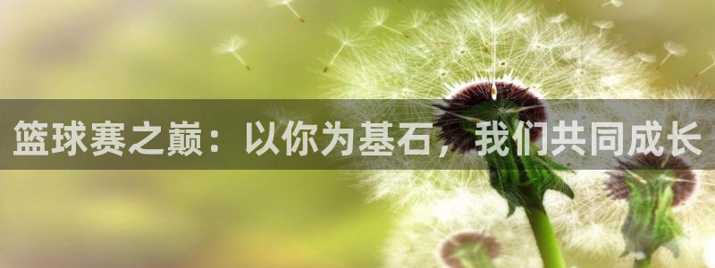 篮球赛之巅：以你为基石，我们共同成长