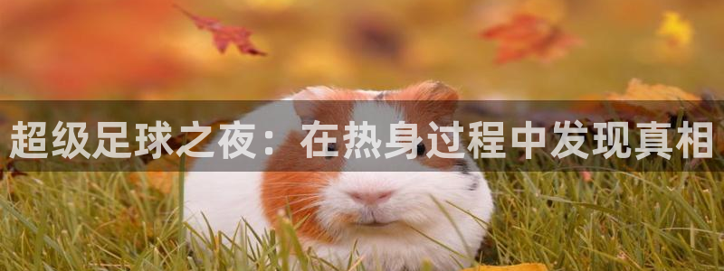 天空体育是曼联的吗：超级足球之夜：在