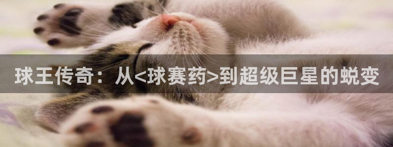 星空体育综合：球王传奇：从<球赛药>