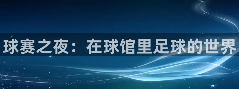 www.星空体育：球赛之夜：在球馆里