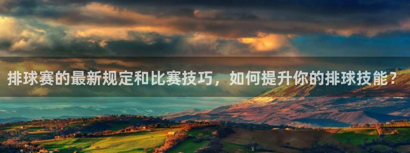 星空·综合体育官网入口：排球赛的最新