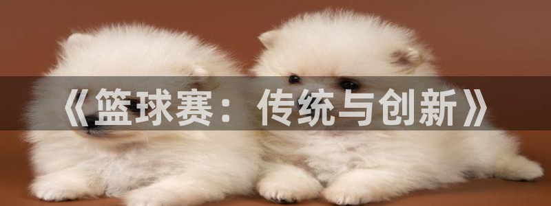 星空体育入口：《篮球赛：传统与创新》