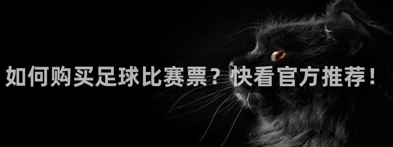 星空体育网站：如何购买足球比赛票？快
