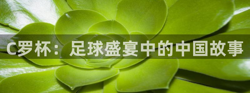 星空体育网：C罗杯：足球盛宴中的中国