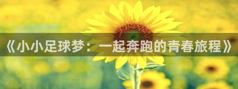  星空体育首页：《小小足球梦：一起奔跑的青春旅程》