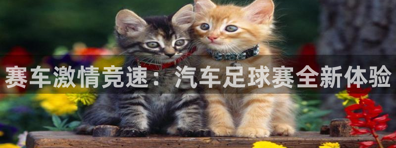  星空体育网站：赛车激情竞速：汽车足球赛全新体验