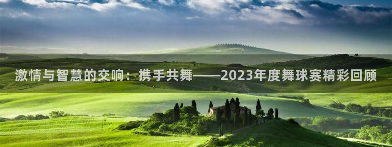 星空体育a：激情与智慧的交响：携手共舞——2023年度舞球赛